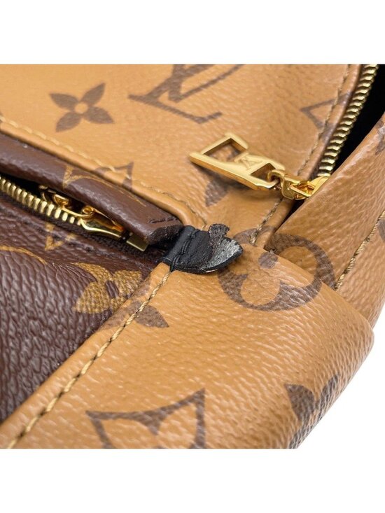Louis Vuitton Backpack Monogram Reverse Palm Springs Mini Bag main image 9